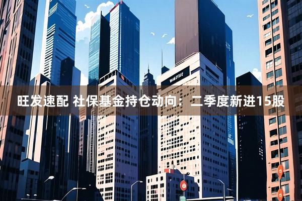 旺发速配 社保基金持仓动向：二季度新进15股