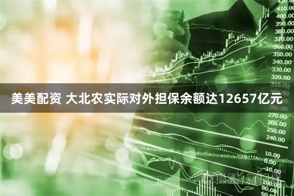 美美配资 大北农实际对外担保余额达12657亿元