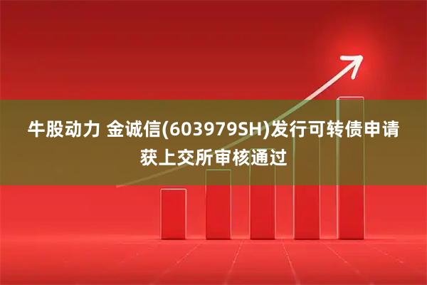 牛股动力 金诚信(603979SH)发行可转债申请获上交所审核通过