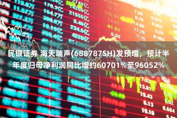 民银证券 海天瑞声(688787SH)发预增，预计半年度归母净利润同比增约60701%至96052%