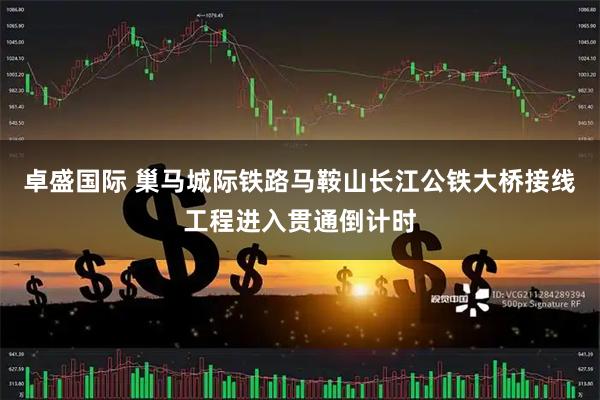 卓盛国际 巢马城际铁路马鞍山长江公铁大桥接线工程进入贯通倒计时
