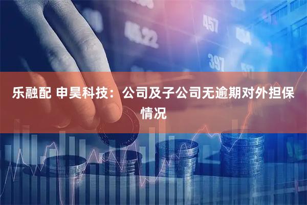 乐融配 申昊科技：公司及子公司无逾期对外担保情况